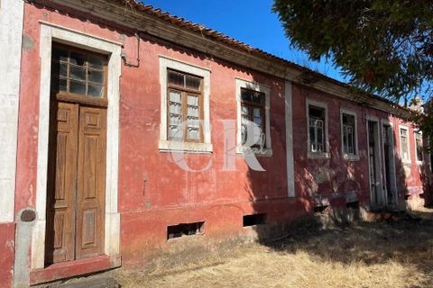 Farm i Lousa, Coimbra, Lousa - € 500.000 | Ref: CR0733 - foto 12