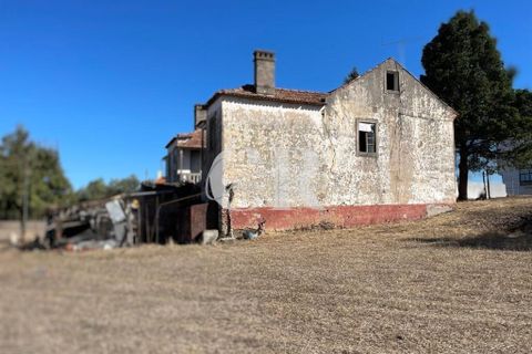Farm i Lousa, Coimbra, Lousa - € 500.000 | Ref: CR0733 - foto 13