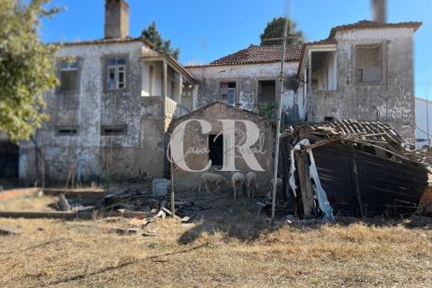 Farm i Lousa, Coimbra, Lousa - € 500.000 | Ref: CR0733 - foto 16