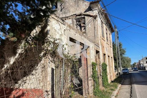 Farm i Lousa, Coimbra, Lousa - € 500.000 | Ref: CR0733 - foto 17