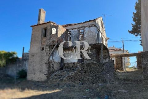 Farm i Lousa, Coimbra, Lousa - € 500.000 | Ref: CR0733 - foto 25