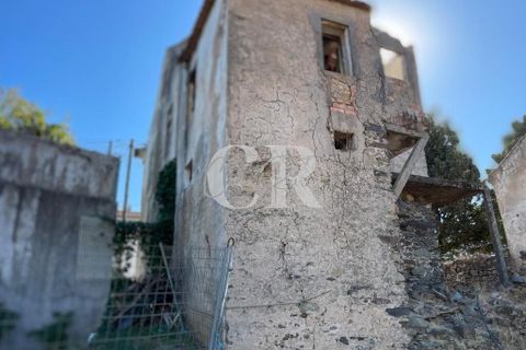 Farm i Lousa, Coimbra, Lousa - € 500.000 | Ref: CR0733 - foto 26