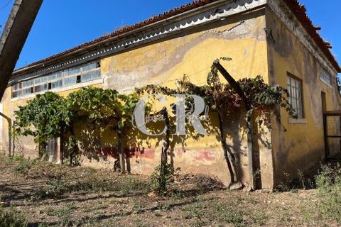 Farm i Lousa, Coimbra, Lousa - € 500.000 | Ref: CR0733 - foto 30