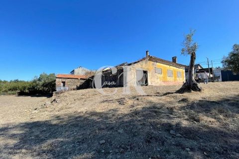 Farm i Lousa, Coimbra, Lousa - € 500.000 | Ref: CR0733 - foto 31