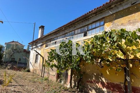 Farm i Lousa, Coimbra, Lousa - € 500.000 | Ref: CR0733 - foto 32