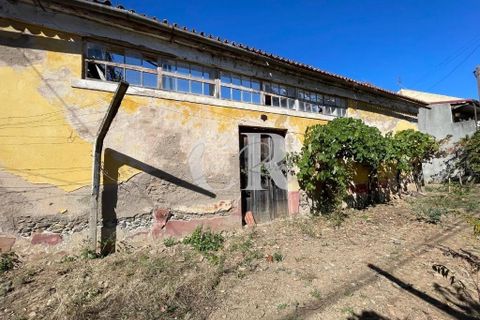 Farm i Lousa, Coimbra, Lousa - € 500.000 | Ref: CR0733 - foto 33
