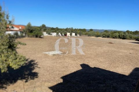 Farm i Lousa, Coimbra, Lousa - € 500.000 | Ref: CR0733 - foto 34
