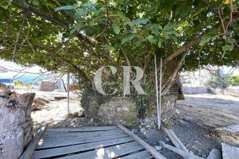 Farm i Lousa, Coimbra, Lousa - € 500.000 | Ref: CR0733 - foto 35