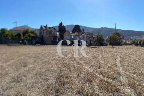 Farm i Lousa, Coimbra, Lousa - € 500.000 | Ref: CR0733 - foto 38