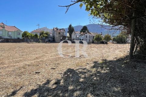 Farm i Lousa, Coimbra, Lousa - € 500.000 | Ref: CR0733 - foto 39