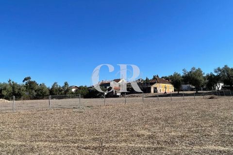 Farm i Lousa, Coimbra, Lousa - € 500.000 | Ref: CR0733 - foto 40
