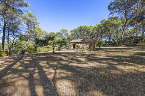 Landejendom i Taradeau, Var, Taradeau - € 1.590.000 | Ref: 86341931 - foto 18