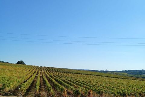 Villa i Viseu, Viseu, Viseu - € 220.000 | Ref: Q28 - foto 32