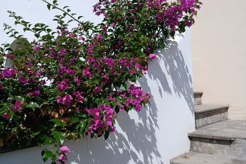Villa a Morlupo, Rome, Morlupo - € 600.000 | Ref: 1715 - foto 39