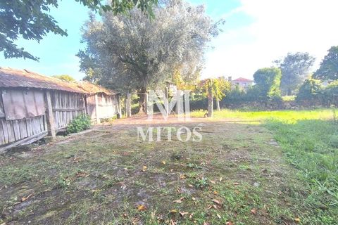 Villa i Ponte de Lima, Viana do Castelo, Ponte de Lima - € 398.000 | Ref: D388 - foto 11