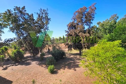 Lejlighed i Alvor, Faro, Alvor - € 298.000 | Ref: APT-7122 - foto 18