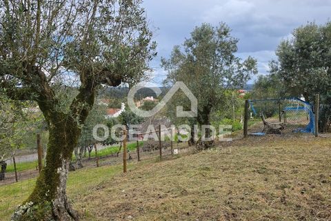 Villa i Tomar, Santarem, Tomar - € 95.000 | Ref: OSO25048.NV - foto 7