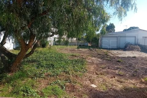Villa a Sintra, Lisbon, Sintra - € 2.300/mes | Ref: PV978/25 - foto 40