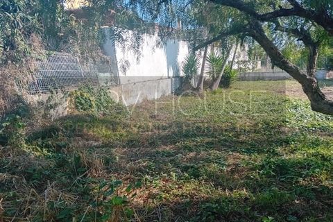 Villa a Sintra, Lisbon, Sintra - € 2.300/mes | Ref: PV978/25 - foto 41