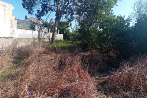 Villa a Sintra, Lisbon, Sintra - € 2.300/mes | Ref: PV978/25 - foto 44