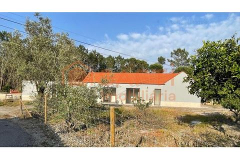 Bungalow i Cantanhede, Coimbra, Cantanhede - € 450.000 | Ref: SAFTI:007234 - foto 13