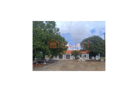 Bungalow i Cantanhede, Coimbra, Cantanhede - € 450.000 | Ref: SAFTI:007234 - foto 14