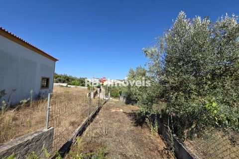 Helårsgrund i Tomar, Santarem, Tomar - € 6.000 | Ref: 01719-25 - foto 5