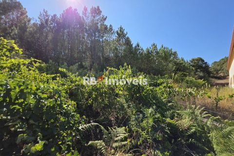 Helårsgrund i Tomar, Santarem, Tomar - € 6.000 | Ref: 01719-25 - foto 8