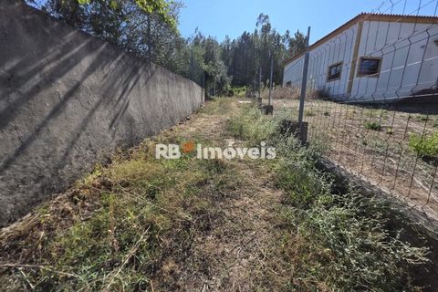 Helårsgrund i Tomar, Santarem, Tomar - € 6.000 | Ref: 01719-25 - foto 11