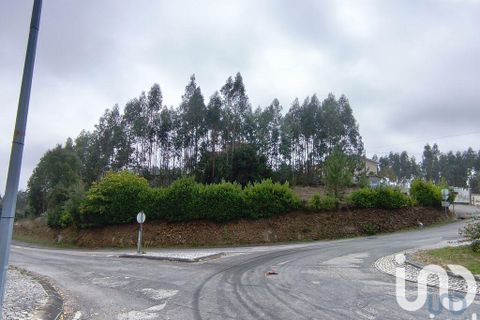 Helårsgrund i Miranda do Corvo, Coimbra, Miranda do Corvo - € 28.900 | Ref: 724016 - foto 3