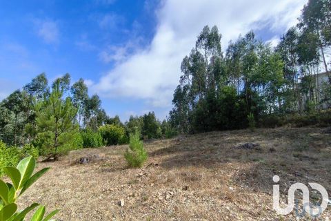 Helårsgrund i Miranda do Corvo, Coimbra, Miranda do Corvo - € 28.900 | Ref: 724016 - foto 4
