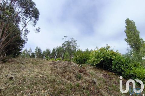 Helårsgrund i Miranda do Corvo, Coimbra, Miranda do Corvo - € 28.900 | Ref: 724016 - foto 5