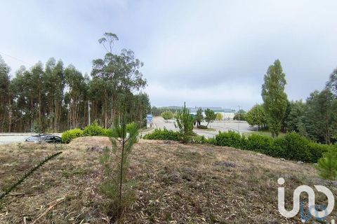 Helårsgrund i Miranda do Corvo, Coimbra, Miranda do Corvo - € 28.900 | Ref: 724016 - foto 6