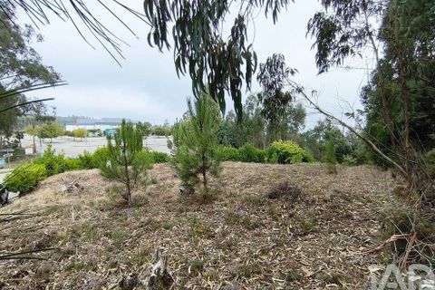 Helårsgrund i Miranda do Corvo, Coimbra, Miranda do Corvo - € 28.900 | Ref: 724016 - foto 7