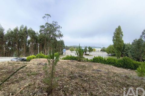 Helårsgrund i Miranda do Corvo, Coimbra, Miranda do Corvo - € 28.900 | Ref: 724016 - foto 8