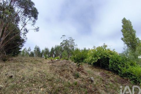 Helårsgrund i Miranda do Corvo, Coimbra, Miranda do Corvo - € 28.900 | Ref: 724016 - foto 9