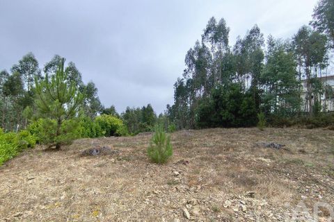 Helårsgrund i Miranda do Corvo, Coimbra, Miranda do Corvo - € 28.900 | Ref: 724016 - foto 10