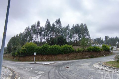 Helårsgrund i Miranda do Corvo, Coimbra, Miranda do Corvo - € 28.900 | Ref: 724016 - foto 11