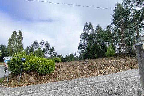 Helårsgrund i Miranda do Corvo, Coimbra, Miranda do Corvo - € 28.900 | Ref: 724016 - foto 13