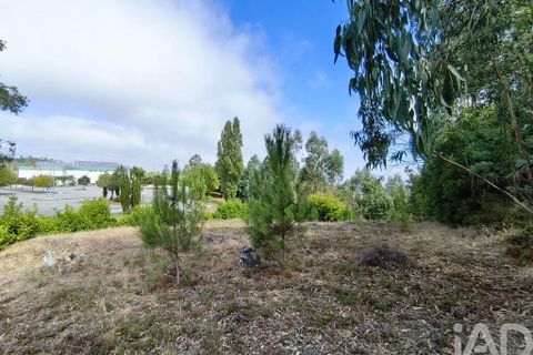 Helårsgrund i Miranda do Corvo, Coimbra, Miranda do Corvo - € 28.900 | Ref: 724016 - foto 16