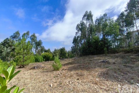 Helårsgrund i Miranda do Corvo, Coimbra, Miranda do Corvo - € 28.900 | Ref: 724016 - foto 17