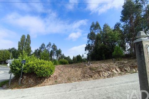 Helårsgrund i Miranda do Corvo, Coimbra, Miranda do Corvo - € 28.900 | Ref: 724016 - foto 22