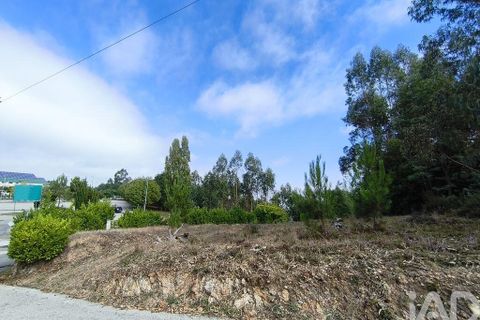 Helårsgrund i Miranda do Corvo, Coimbra, Miranda do Corvo - € 28.900 | Ref: 724016 - foto 24