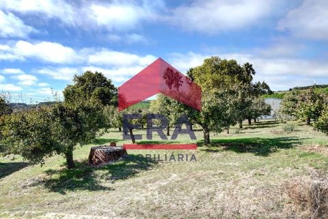Villa a Lourinha, Lisbon, Lourinha - € 790.000 | Ref: 130250242 - foto 21