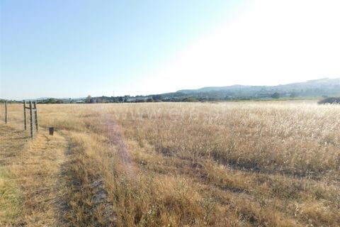 Helårsgrund i Covilha, Castelo Branco, Covilha - € 350.000 | Ref: 111220185 - foto 1