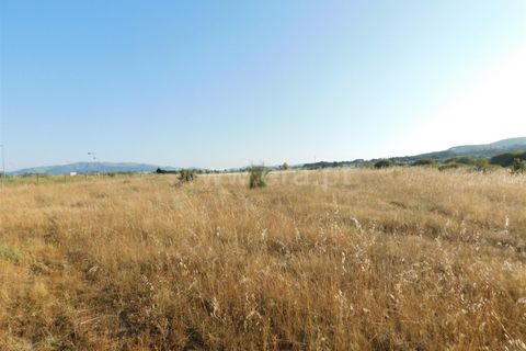 Helårsgrund i Covilha, Castelo Branco, Covilha - € 350.000 | Ref: 111220185 - foto 4