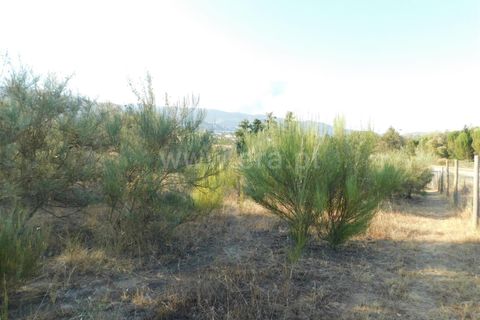 Helårsgrund i Covilha, Castelo Branco, Covilha - € 350.000 | Ref: 111220185 - foto 5