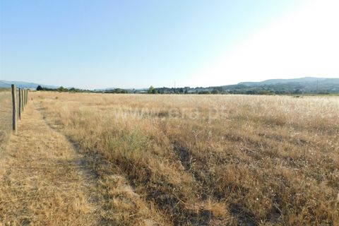 Helårsgrund i Covilha, Castelo Branco, Covilha - € 350.000 | Ref: 111220185 - foto 7