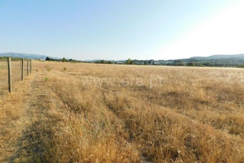 Helårsgrund i Covilha, Castelo Branco, Covilha - € 350.000 | Ref: 111220185 - foto 8