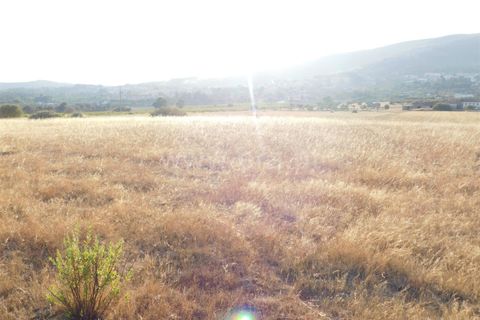Helårsgrund i Covilha, Castelo Branco, Covilha - € 350.000 | Ref: 111220185 - foto 10